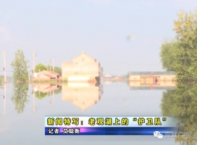 新闻特写：老观湖上的“护卫队”