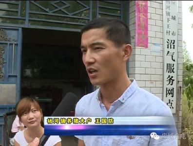 人保财险应城支公司兑现洪灾受损能繁母猪保险赔款52万元