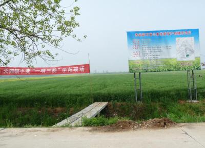 天鹅镇利用植保无人机开展小麦“一喷三防”