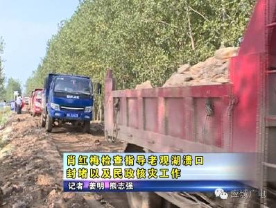 肖红梅检查指导老观湖溃口封堵以及民政核灾工作