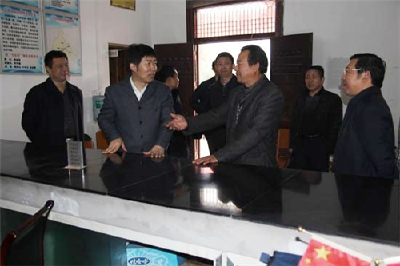 市委书记徐长水到栗树村调研村“两委”换届工作