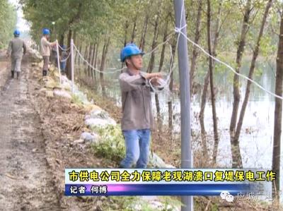 市供电公司全力保障老观湖溃口复堤保电工作