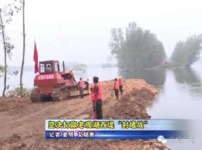 坚决打赢老观湖西堤“封堵战”