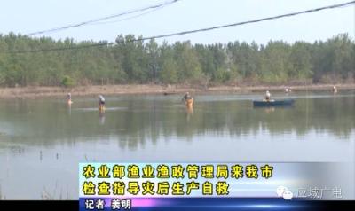 农业部渔业渔政管理局来我市检查指导灾后生产自救