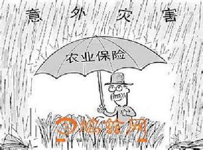 应城市积极开展农业保险核灾理赔