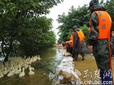应城市民兵应急连120人疾驰陈河镇骆集村老灌湖抢险(组图)