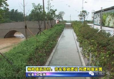 杨岭镇新四村：夯实基础建设 构建和谐家园