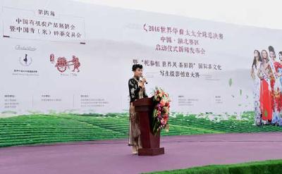 2016世界华裔太太湖北赛区比赛惊艳赤壁
