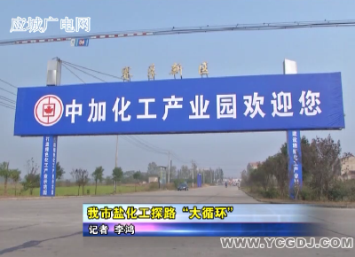 我市盐化工探路“大循环”
