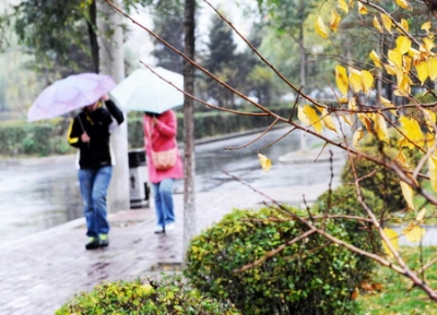 一场秋雨一场寒 你把“棉”穿上身了吗？