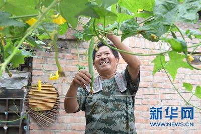 多吃这些瓜果蔬菜 健康过秋冬