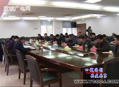 应城市召开迎接省级卫生城市复审工作会议