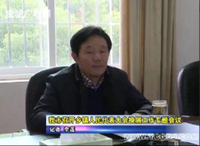 应城市召开乡镇人民代表大会换届工作专题会议