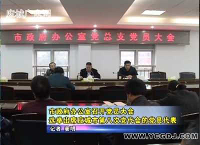 应城市政府办公室召开党员大会选举出席应城市第八次党代会的党员代表