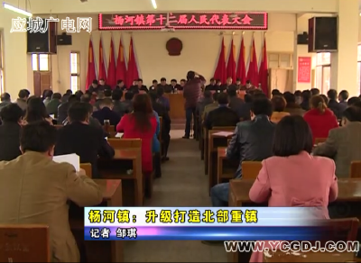 杨河镇：升级打造北部重镇