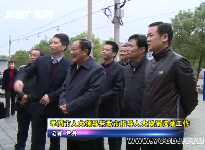 孝感市领导来应城市指导人大换届选举工作