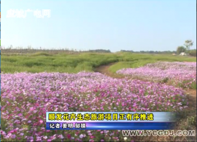 顺发花卉生态旅游项目有序推进