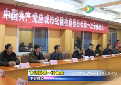 应城市纪委第一次全会   