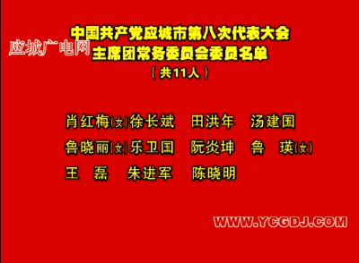 应城市第八次党代会:主席团常务委员会委员名单、执行主席名单、副秘书长名单