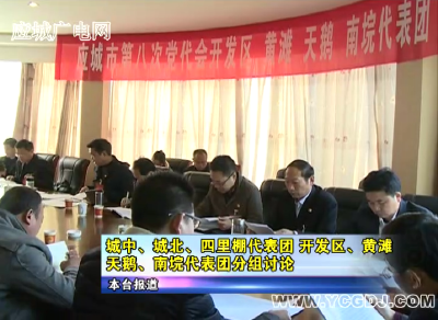 城中城北四里棚代表团 开发区黄滩天鹅南垸代表团分组讨论