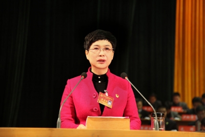 中国共产党应城市第八次代表大会隆重开幕