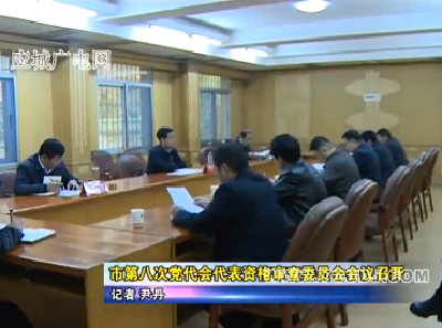 应城市第八次党代会代表资格审查委员会会议召开
