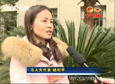代表话心声