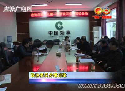 政协委员分组讨论