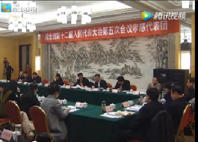 省委副书记、代省长王晓东参加孝感代表团审议时提出