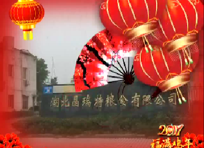 湖北晶瑞特粮食有限公司向应城人民拜年