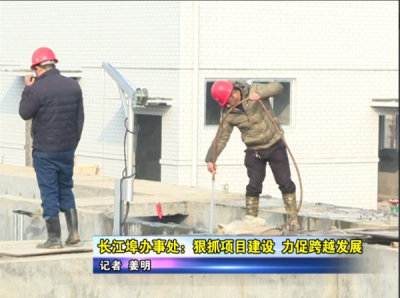 长江埠办事处：狠抓项目建设 力促跨越发展 