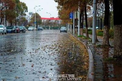 湖北|雨雪随风来袭本周湖北迎断崖式降温 相关部门积极防范