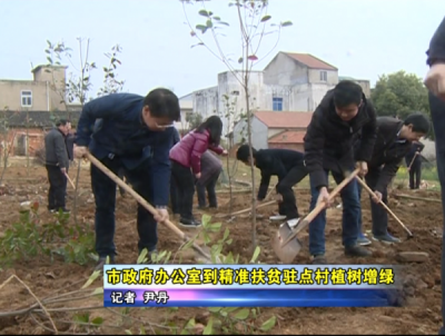 市政府办公室到精准扶贫驻点村植树增绿