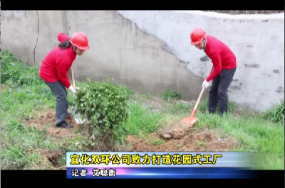 宜化双环公司致力打造花园式工厂