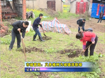 《城市管理 让生活更美好》专栏——市城管局：义务植树为城镇添新绿