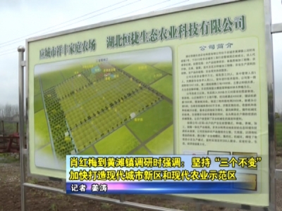 肖红梅到黄滩镇调研时强调： 坚持“三个不变”，加快打造现代城市新区和现代农业示范区     