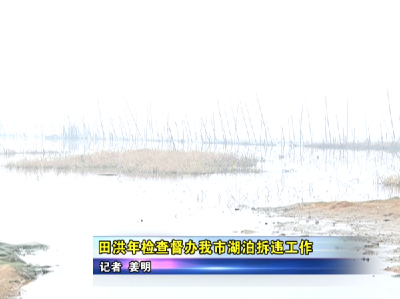田洪年检查督办我市湖泊拆违工作 