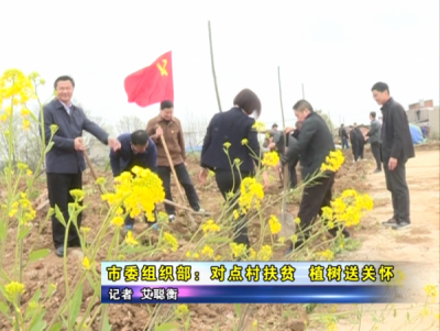 市委组织部：对点村扶贫，植树送关怀  