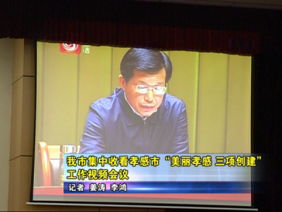 应城市集中收看孝感市“美丽孝感 三项创建”工作视频会议