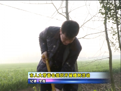 市人大常委会开展植树活动  