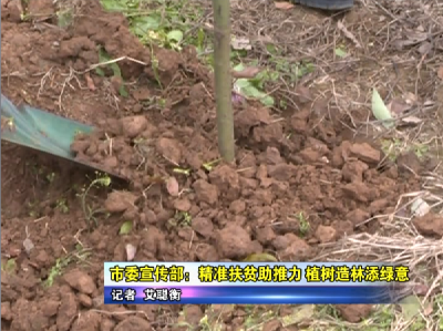 市委宣传部：精准扶贫助推力 植树造林添绿意   