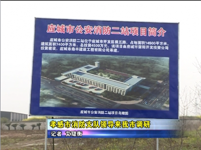 孝感市消防支队领导来应城市调研 