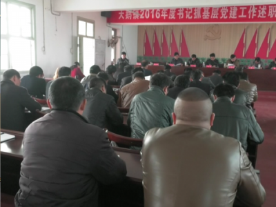 天鹅镇召开2016年度书记抓党建述职评议会  