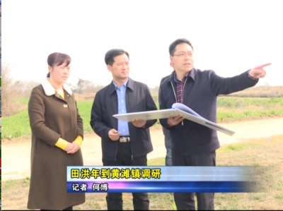 田洪年到黄滩镇调研    