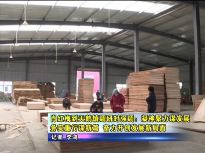 肖红梅到天鹅镇调研时强调：凝神聚力谋发展 务实重行谋新篇 奋力开创发展新局面