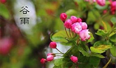 健康|春季最后一个节气：谷雨养生有三招