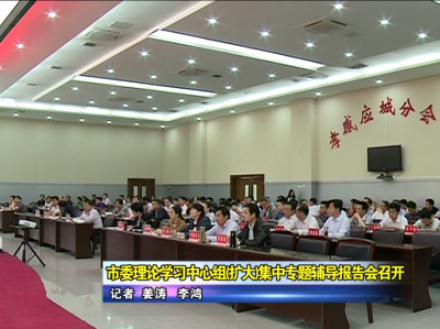 应城市委理论学习中心组（扩大）集中专题辅导报告会举行