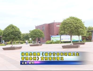 杨德忠视察《城市市容和环境卫生管理条例》贯彻落实情况