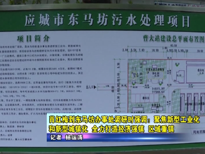 肖红梅到东马坊办事处调研时强调：聚焦新型工业化和新型城镇化， 全力打造经济强镇、区域重镇    