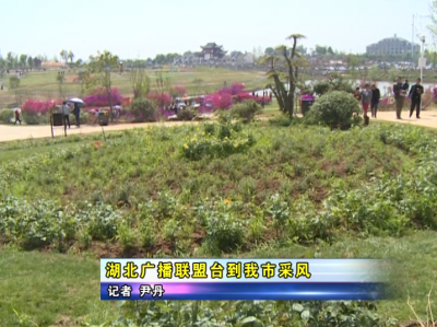 陈晓明带队检查建筑工地安全